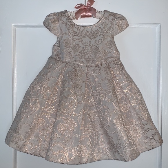 Janie and Jack Other - Janie and Jack Floral Jacquard Dress Pink/Rose Gold Dress EUC 6-12M